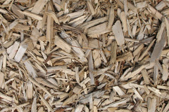biomass boilers Burrafirth